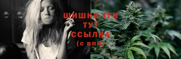 индика Магадан