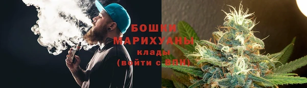 индика Магадан