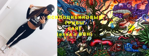 индика Магадан