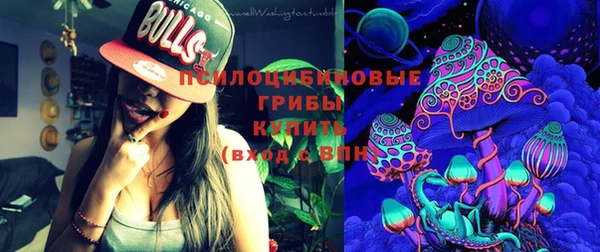 бутират Медногорск