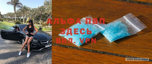 стаф Майский