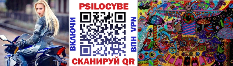 мега ССЫЛКА  Энем  Псилоцибиновые грибы Psilocybe 